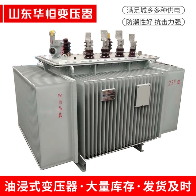 S13-10000/35东丽东丽东丽电力变压器厂家