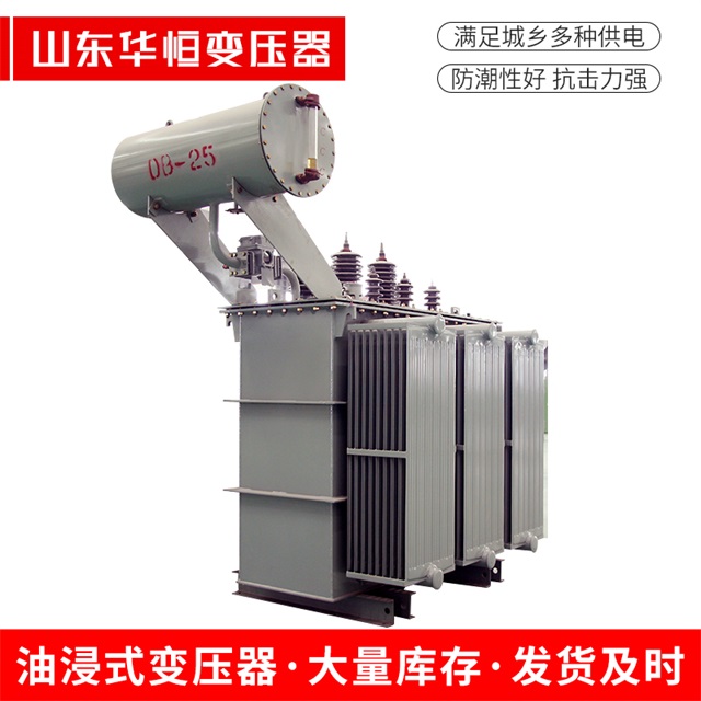 S11-10000/35东丽东丽东丽电力变压器厂家