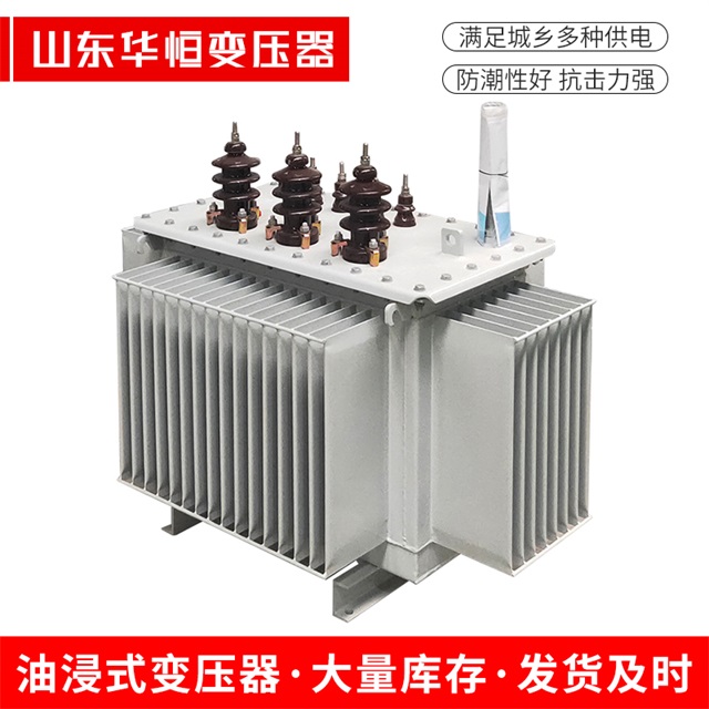 S13-10000/35东丽东丽东丽油浸式变压器厂家